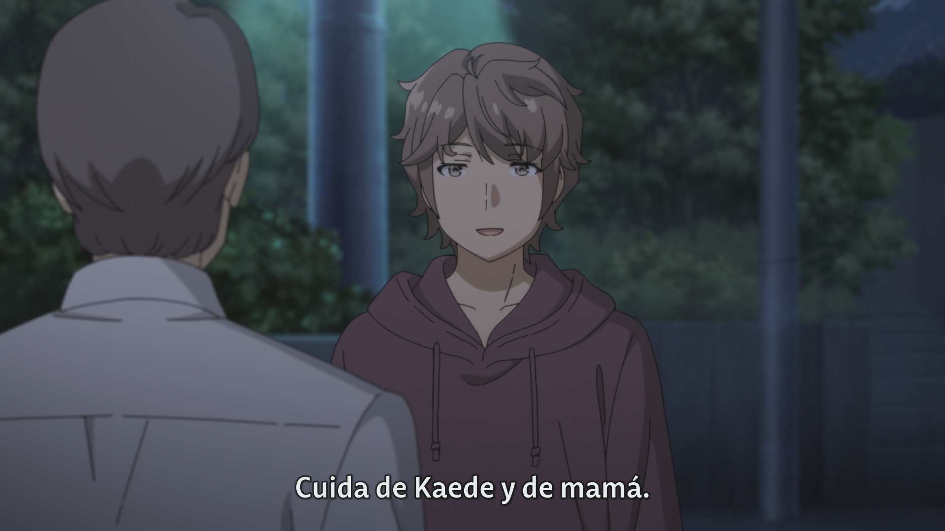 Seishun Buta Yarou wa Randoseru Girl no Yume wo Minai (Hakoniwa)